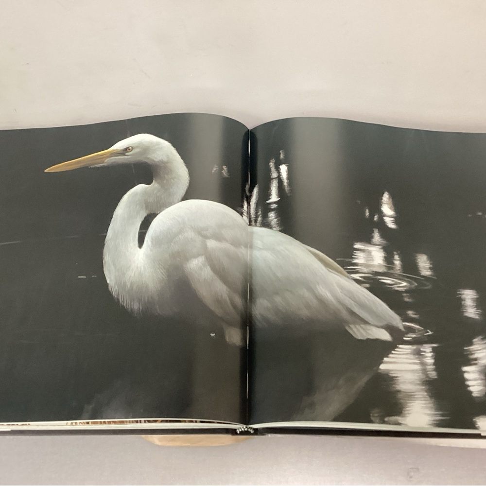 🟡 Vintage Robert Bateman - Natural World Large Coffee Table Book - Rick Archbold - Picture 5 of 16